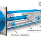 dustfree 1